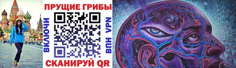 Псилоцибиновые грибы мицелий  ссылка на мегу как зайти  Карачаевск 